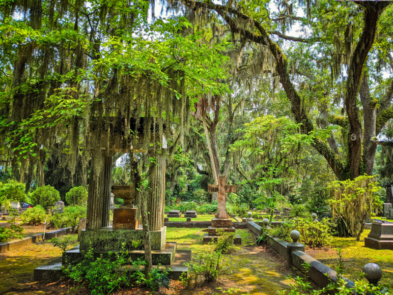 Graves at Bonaventure Cemetery Savannah Georgia 18