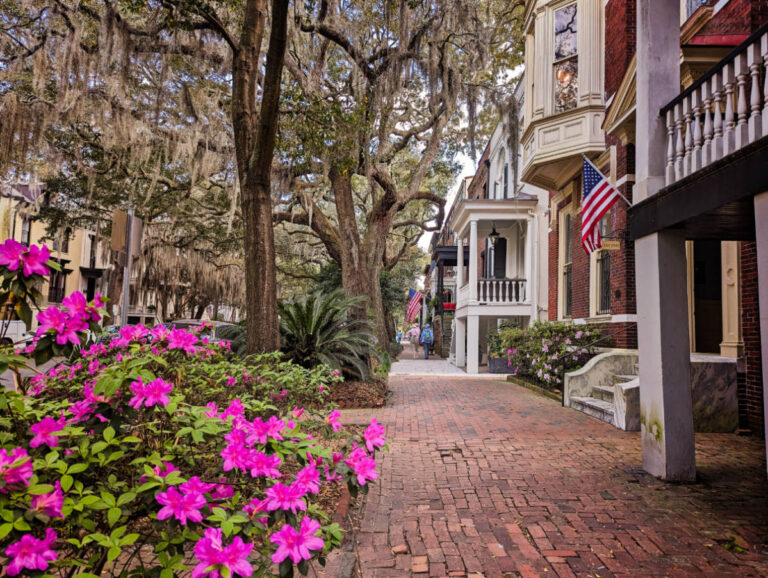 Brick Sidewalk on Jones Street Historic District Savannah Georgia 1